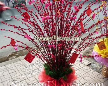 Chậu sảnh nhỏ 001