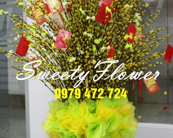 Chậu sảnh nhỏ 011