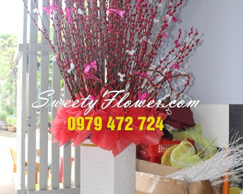 Chậu sảnh nhỏ 008