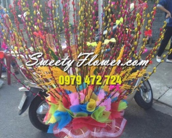 Chậu sảnh nhỏ 005