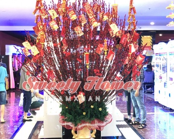 Chậu sảnh lớn 001