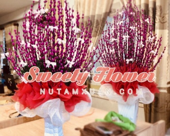 Chậu để bàn 009